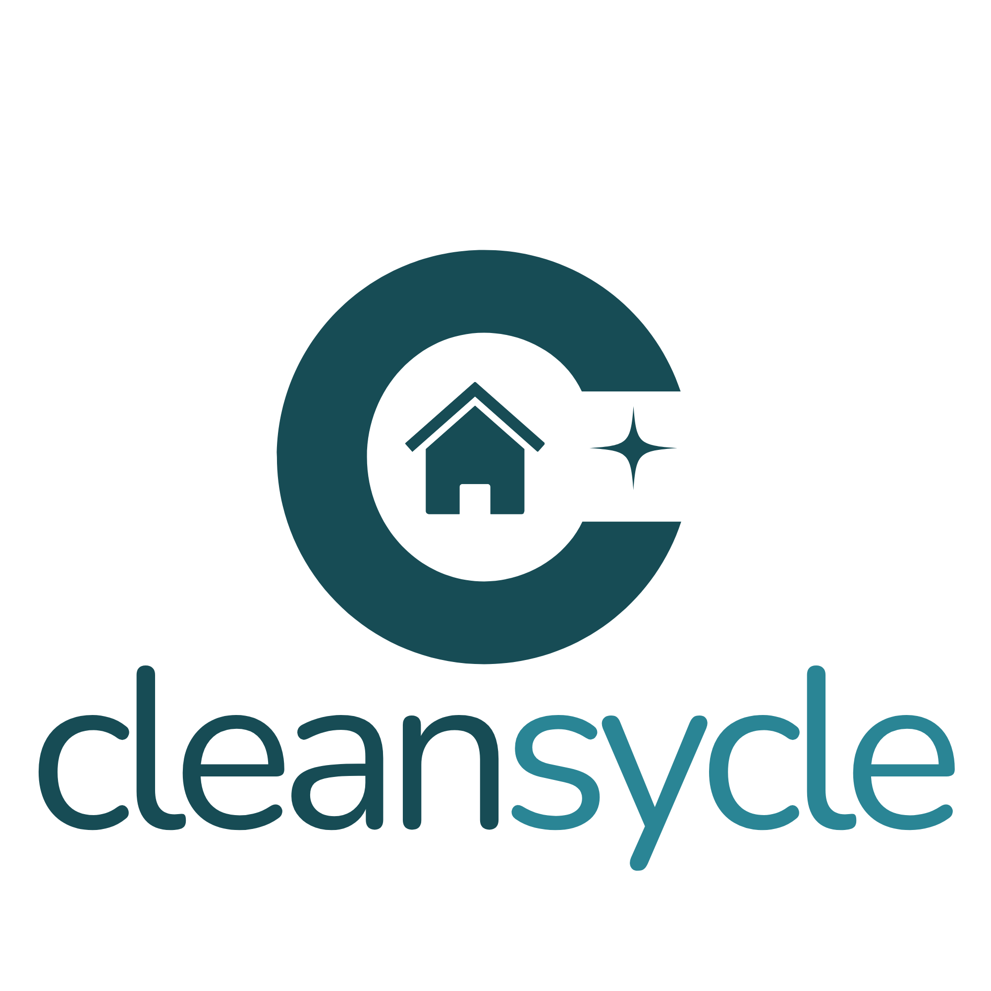 cleansycle.com